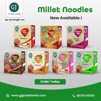 Millet Noodles - GJ Global Herbs - India