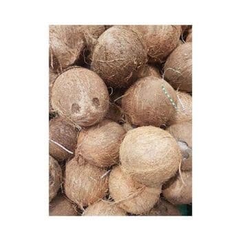 High quality coconut milk powder coconut fruit extract coconut - CHHC AGR0-CHEMICAL PRODUCTS WHOLESALING - Philippines