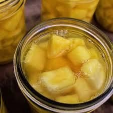 Canned Pineapple – Premium Quality Tropical Fruit in Syrup or Juice - TRADE NEPAL LLC - United States