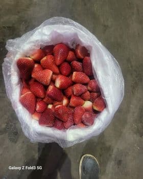 IQF strawberry Grade A Origin Egypt Quality Ranking #1 In The World In Exporting Frozen - McCoy International Trading LLC - Egypt