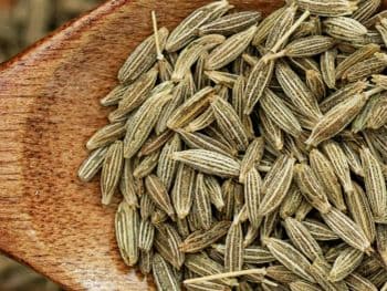 Cumin Seed (Jeera) Form Uncut Origin India Purity 99% - 99.5% Freshness Level Dried Moisture Content Max 9% Delivery Form Bag, Sacks - Kitch Pulses and Spices - India