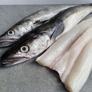 Frozen Hake Fish High Protein Marine Catch Offering Fresh Taste Uniform Sizing And Professional Export Packaging - TOSOH INTERNATIONAL - South Africa
