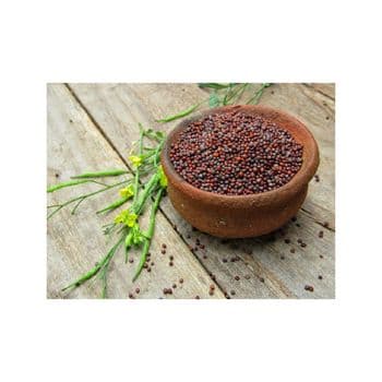Wholesale mustard seeds packed in large quantity for spice and oil producers - MASI TRADING GMBH - Germany