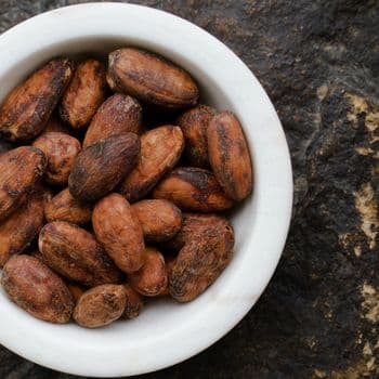 Sun Dried Cocoa Bean With Deep Chocolate Notes And Reliable Quality For Wholesale Ingredient Buyers Worldwide - TOSOH INTERNATIONAL - South Africa