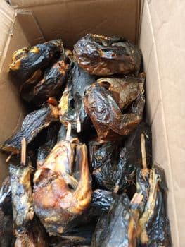 Dried catfish - Chance Tee Technologies - Nigeria