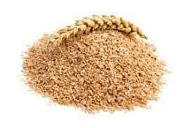 Premium Wheat Bran Grade A Type - TRADE NEPAL LLC - United States