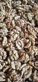 walnuts kernel Type kernel Origin Uzbekistan Product Form Kernel Mix Walnut Weight 5 Kg Manufacturer Uzbekistan Packing Box Weight 6.2 Kg - Freeze Dried Fruit LTD - Uzbekistan
