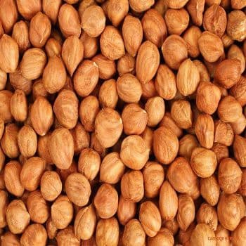 High Quality Organic Blanched Hazel Nuts Raw Dried Hazelnuts for Food Wholesale Supply - Carla Pisselli Commercio - Brazil