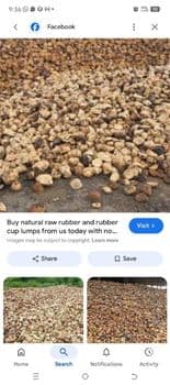 Rubber Cuplumps Form Coagulum Origin GHANA, Other Features Rubber Cuplump Dry Rubber Content 65%–85% Material Type Natural Rubber - WinRit Rubber Cuplump Limited - Ghana