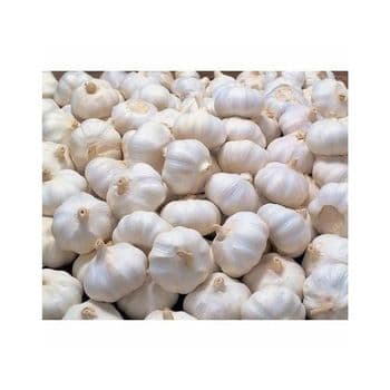Fresh garlic for making sauces pickles and spice blends Organic fresh garlic produced without chemicals or additives Fresh garlic with high nutritional value and health benefits Export quality fresh garlic packed in mesh bags for ventilation - SATTER FOOD AND BEVERAGE - Netherlands