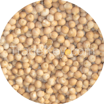 Organic Chickpeas Origin Usa Purity High Texture Firm Flavor Nutty Packaging PP bag Grade A, Premium Shelf Life Extended - TRADE NEPAL LLC - United States