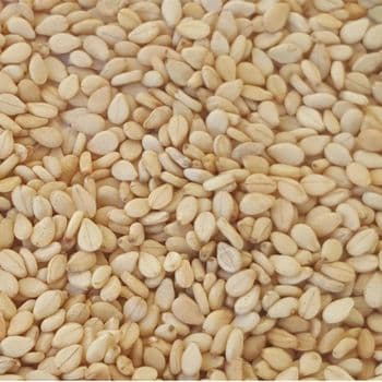 Seed Trusted White Export White Selection Nutty Seed Sesame Seed Wholesale Black International Farm Hulled Selection Quality - TOSOH INTERNATIONAL - South Africa