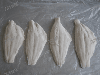 Frozen IQF Channel Catfish Fillets Origin China - Jingzhou Baiyang Food Co., Ltd. - China