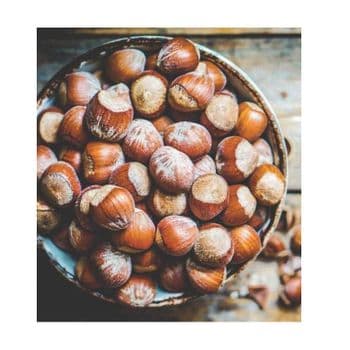 Raw Hazelnut kernel/ Organic Grade Hazelnut kernel /Hazel Nuts for sale -  CALIPSO POLSKA SP Z OO  - Poland