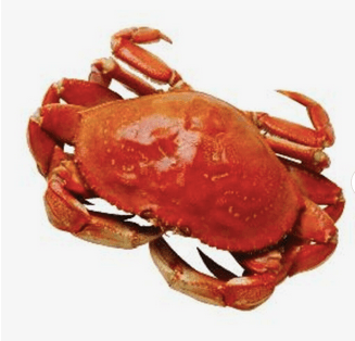 Bulk Frozen Whole King Crabs In Stock Buy Wholesale Cheap Price King Crab Legs For Sale - Almaa SCS - Belgium
