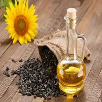 Top Grade 100% Purity Refined Sunflower Oil Organic Nut & Seed Oil High Quality Cooking Food Use Directly - Carla Pisselli Commercio - Brazil