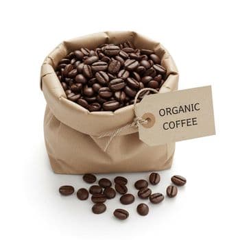 Organic Coffee Fresh Roasted Bean Collection For Private Label Packaging Beverage Brands And Coffee Distributors - TOSOH INTERNATIONAL - South Africa