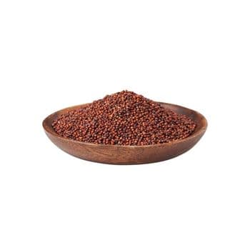 Factory price finger millet wholesale premium grade millet bulk shipment ready - HIGHPROFILE AGRICULTURE SERVICES LIMITED - Tanzania