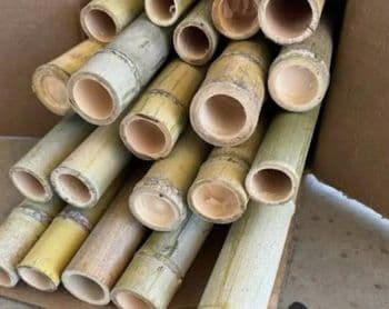 Bamboo poles Pre-Owned Yes Certification EPAL Dimensions 1000 mm x 1000 mm Carrying Capacity > 500 kg to 1000 kg - Hinapoyan Farmers Cooperative - Philippines