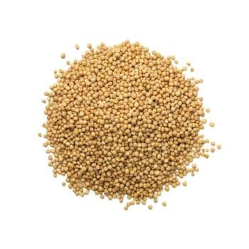 Premium Wholesale Mustard Seeds Supplier | High Purity Natural Yellow & Black Mustard Seeds for Oil Extraction, Spice Processing, Food Manufacturing, Condiment Production, and Global Bulk Export with Custom Packaging Solutions - agroturaspzoo - Poland