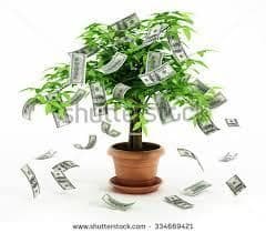 AGRICULTURE BUSINESS DEVELOPMENT LOANS SERVICES AVAILABLE Feature New - Nepolos Prosperity Financial Investors Group - United States