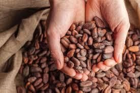 Cacao Beans Fat Content Standardized Limits Sensory Characteristics Flavor, Odor Moisture Content Standardized Limits Bean Count Per 100g Standardized - PT Ziber Rosidi Utama - Indonesia