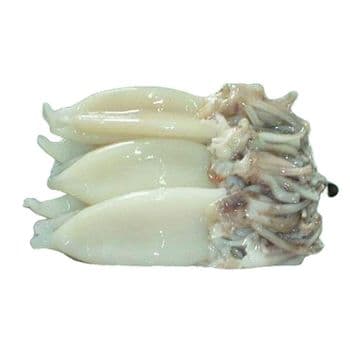 Frozen Fresh Illex Squid Premium Ocean Harvest With 98% Natural Quality For Bulk Seafood Distribution And Export Supply - TOSOH INTERNATIONAL - South Africa