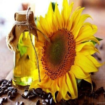 Pure Refined Cooking Sunflower Oil Buy Natural Nut & Seed Oil Food Grade 99 Purity Crude 1 L COMMON Cultivation - Carla Pisselli Commercio - Brazil