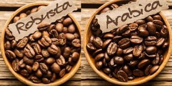 Directly Wholesaled Premium Quality Brazilian Organic Blended Arabica Robusta Coffee Beans Hot Selling Freshly Roasted Green - AGRONOVA - United States