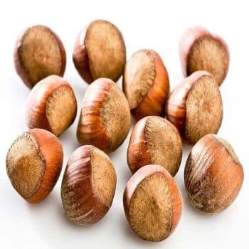Bulk Hazelnuts Nuts Available for Sale at Low Price Fresh and Natural Quality from Trusted Food Manufacturers - Carla Pisselli Commercio - Brazil
