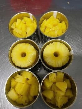 Premium Canned Pineapple Slices Chunks Tidbits in Syrup Bulk Packing for Wholesale Export - Viet D.E.L.T.A Industrial Co.Ltd. - Vietnam