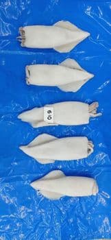 Squid Whole Freshness Level Frozen Features No Artificial Flavors - amigoseafood co - India