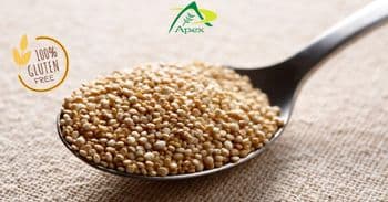 Processed Quinoa Seeds , Processed Quinoa Seed whole , Processed Quinoa , Quinoa , Quinoa Seeds, Processed Quinoa Seed Bulk Supplier From India - APEX INTERNATIONAL - India
