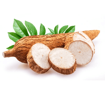 Wholesale fresh whole root cassava, tapioca chip, slice cassava - cheap price from Vietnam. - MIGHTY ASIA COMPANY LIMITED - Vietnam