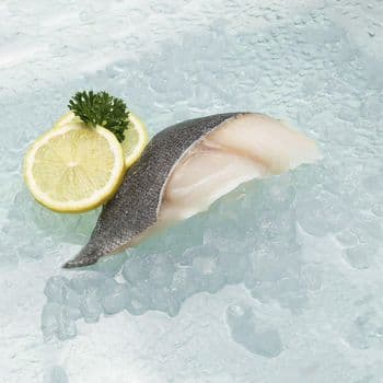 Frozen Cod Fish Boneless Fillet Collection Processed Under Hygienic Conditions For Wholesale Seafood Distribution - TOSOH INTERNATIONAL - South Africa
