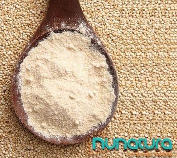 Quinoa powder fluor Appearance Powder Shelf Life 2 years Packaging 25 Kg bag Place of Origin Peru Odor And Taste Characteristic - Peruvian Heritage sac DBA Nunatura - Peru