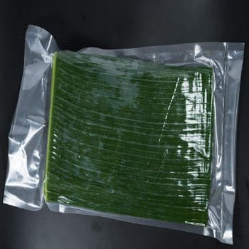 Frozen banana leave Width 20cm Up Length 25cm Up Storage Temperature -18 Place of Origin Vietnam Freezing Temperature -30 - Công ty TNHH Thương Mại Xuất Nhập Khẩu Tân Gia Thành - Vietnam
