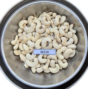 Processed Cashew Nut Kernels Form Peeled Organic Yes Origin Tanzania Degree of Processing Natural, Unsalted - GIFEX AGRO TANANZIA LIMITED - Tanzania