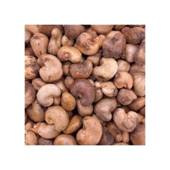Raw Cashew Nuts offered at discount price for snack food and nut processing industries - BMU TRADING GMBH - Germany