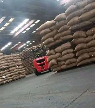 Cocoa bean Grade A1 Origin Cameroon Features Organic Color Dark Brown Size Approx. 2 Cm Product Type Cocoa Mold Content Max - Dacmir - Cameroon