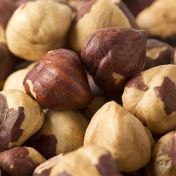 Natural Hazelnuts With Excellent Kernel Integrity Clean Processing And Reliable Bulk Supply For Export Markets - TOSOH INTERNATIONAL - South Africa