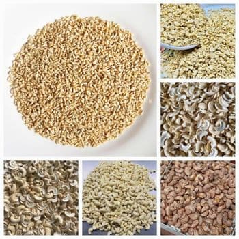 QUALITY HARVESTED CASH CROPS AVAILABLE FOR SALE Packaging BAGS Grade 1st grade Soil Condition Rich Soil Nutrients Harvest Method Meticulously Harvested - OZZIONE WORLD - Tanzania