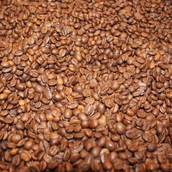 Arabica Coffee Bean Carefully Sorted Coffee Crop With High Purity Levels And Smooth Flavor Development - TOSOH INTERNATIONAL - South Africa