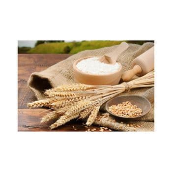Wholesale Wheat Flour bulk supply discount price cheap price nutritious flour Bulk supply Wheat Flour - MASI TRADING GMBH - Germany