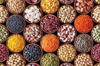 beans Packaging bag Type beans red Origin Uzbekistan Grade clean sorted Packing Size 25 Kg Processing Method Clean, Sorted With Machines - Freeze Dried Fruit LTD - Uzbekistan
