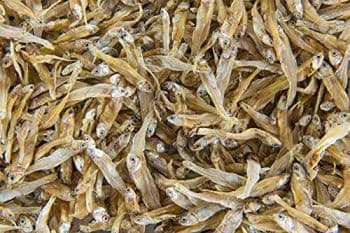 ANCHOVIES HEAD - TUNAS KURALAS - Malaysia