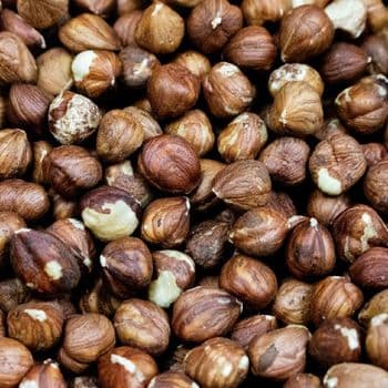 Fine Hazelnuts Processed Under Strict Quality Controls For Reliable Bulk Deliveries And International Distribution - TOSOH INTERNATIONAL - South Africa