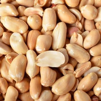 Peanuts Agricultural Commodity With Superior Kernel Uniformity Supporting Diverse Food Ingredient Markets - TOSOH INTERNATIONAL - South Africa