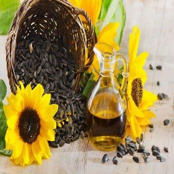 Refined Bulk Sunflower Oil Wholesale High Quality 100 Pure Yellow Status Golden Packing Packaging Color Cooking Level Origin Nut - Carla Pisselli Commercio - Brazil