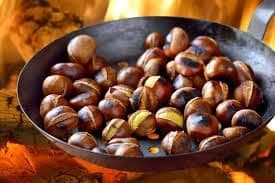 Fresh and Dried Chestnuts – Premium Quality for Export Grade A Type - TRADE NEPAL LLC - United States